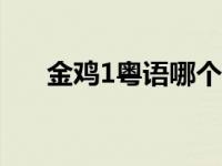 金鸡1粤语哪个软件有看 金鸡sss粤语 