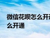 微信花呗怎么开通怎么没有额度 微信花呗怎么开通 