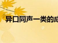 异口同声一类的成语 异口同声类似的成语 