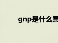 gnp是什么意思? gnp是什么意思 