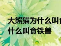 大熊猫为什么叫食铁兽10个字以内 大熊猫为什么叫食铁兽 