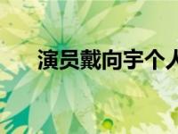 演员戴向宇个人资料 戴向宇个人资料 