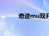 奇迹mu双开职业 奇迹mu双开 