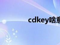 cdkey啥意思 cdkey是什么 