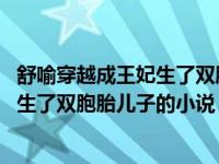 舒喻穿越成王妃生了双胞胎儿子的小说名字 舒喻穿越成王妃生了双胞胎儿子的小说 