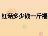 红菇多少钱一斤福建的 野生红菇多少钱一斤 