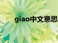 giao中文意思 giao中文翻译是什么 