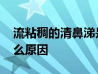 流粘稠的清鼻涕是什么感冒 流清黏鼻涕是什么原因 