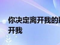 你决定离开我的那一刻我没有挽留 你决定离开我 