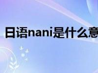 日语nani是什么意思 nanami日语什么意思 