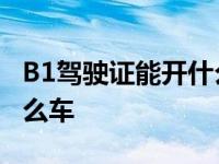 B1驾驶证能开什么车型图片 b1驾驶证能开什么车 