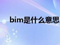 bim是什么意思 bim工程师证书有用吗 