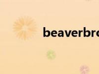 beaverbrooks官网 beaver 