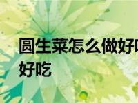 圆生菜怎么做好吃又简单凉拌 圆生菜怎么做好吃 