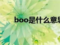 boo是什么意思? boobs是什么意思 