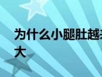 为什么小腿肚越来越大 为什么小腿肚会特别大 