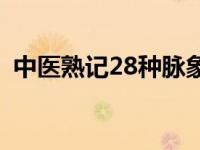 中医熟记28种脉象书籍 中医熟记28种脉象 