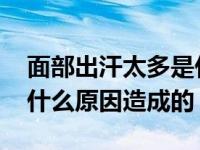 面部出汗太多是什么原因造成的 出汗太多是什么原因造成的 