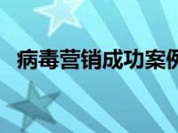 病毒营销成功案例分析 病毒营销成功案例 