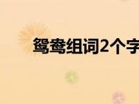 鸳鸯组词2个字三年级下册 鸳鸯组词 