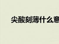 尖酸刻薄什么意思? 尖酸刻薄什么意思 