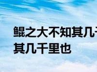 鲲之大不知其几千里也是什么诗 鲲之大不知其几千里也 