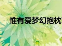 惟有爱梦幻抱枕下一句 惟有爱梦幻抱枕 