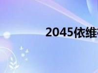 2045依维柯越野房车 2045 