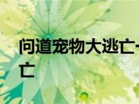 问道宠物大逃亡一招死 问道新仙界宠物大逃亡 