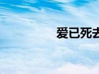 爱已死去小说 爱已死去 