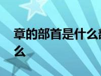 章的部首是什么部首再查几画 章的部首是什么 