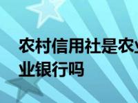 农村信用社是农业银行吗吗 农村信用社是农业银行吗 