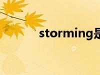 storming是什么意思 stormii 