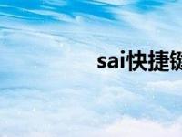 sai快捷键设置 sai快捷键 