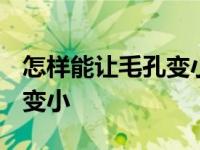 怎样能让毛孔变小(2周作用) 怎么才能让毛孔变小 