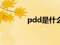 pdd是什么公司 pdd是什么 