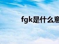 fgk是什么意思 fk代表什么意思 