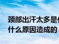 颈部出汗太多是什么原因造成的 出汗太多是什么原因造成的 