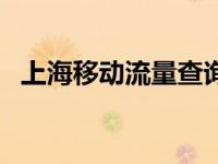 上海移动流量查询官网 上海移动流量查询 