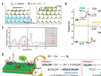 新型量子材料使环保甲醇转化成为可能