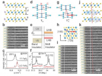 研究人员提出了微调层状过渡金属二硫属化物晶体性质的新方法