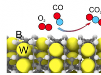 新型有前景的催化剂研究揭示五硼化钨对硫中毒的抵抗力