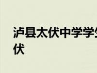 泸县太伏中学学生死亡事件真相揭秘 泸县太伏 