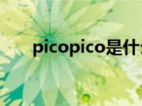 picopico是什么意思 ico是什么意思 