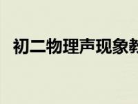 初二物理声现象教学视频 初二物理声现象 