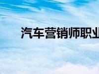 汽车营销师职业资格证书 汽车营销师 