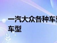 一汽大众各种车型图片及报价 一汽大众各种车型 