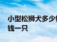 小型松狮犬多少钱一只幼犬 小型松狮犬多少钱一只 