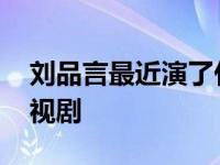 刘品言最近演了什么电视剧 刘品言演过的电视剧 