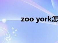 zoo york怎么样 zooyork价位 